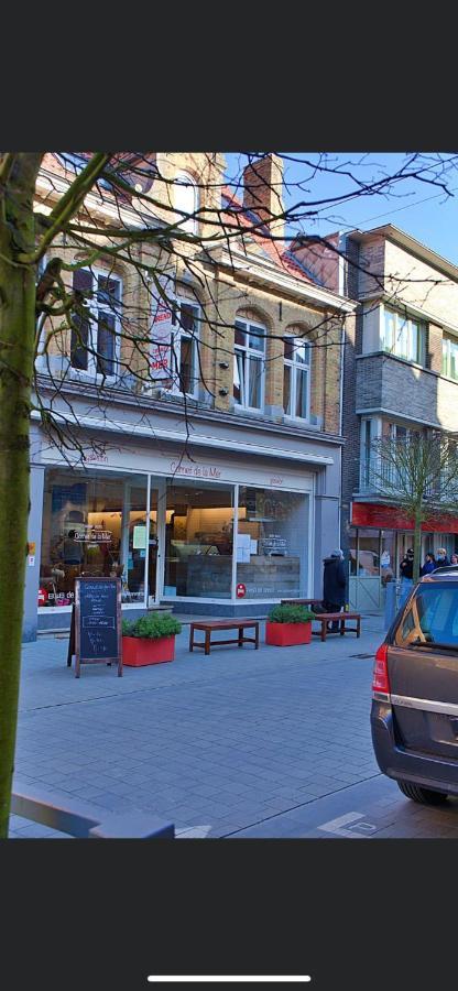 Gastenverblijf De Arend Nieuwpoort Exterior photo